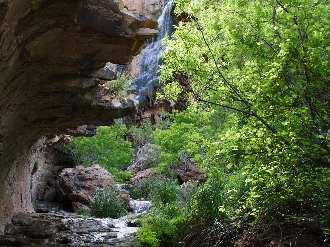 Sitting Bull Falls-卡尔斯巴德必去景点