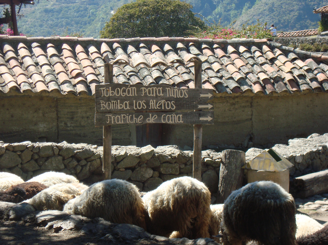 洛斯艾勒洛斯主题公园-梅里达市必去景点