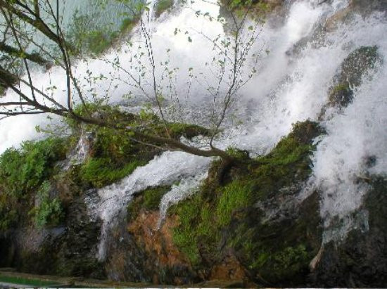 Reka Vrelo (One Year River - Reka Godina)景点图片