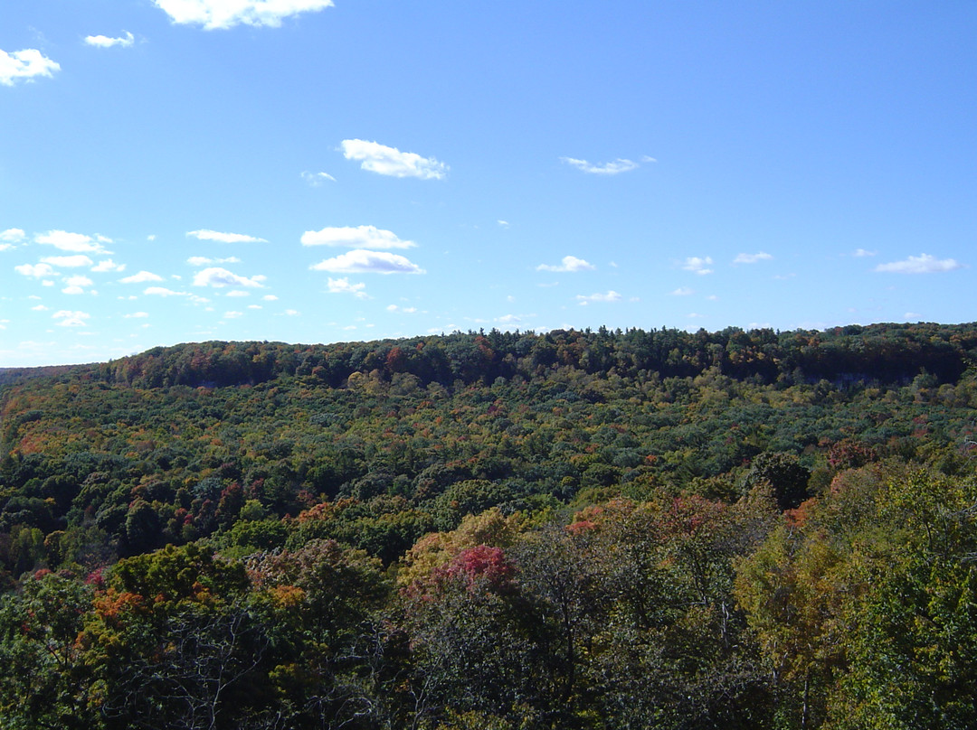 Rattlesnake Point Conservation Area-Milton必去景点