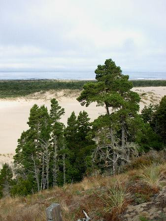 Oregon Dunes National Recreation Area-Reedsport必去景点