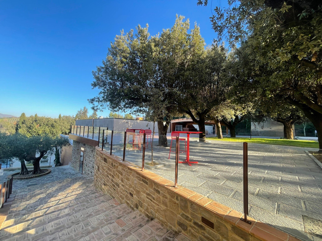 Pucciarella Azienda Agricola