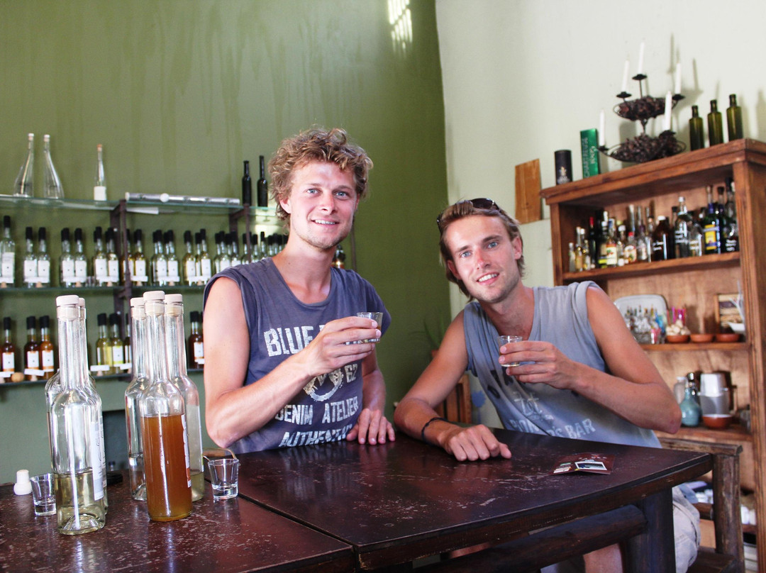 Tierra de Lobo-Coquimbito必去景点