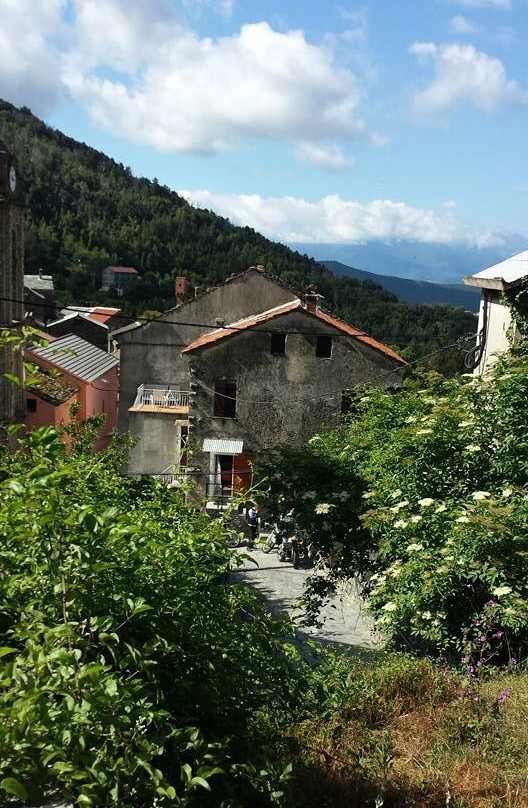 Carcheto-Brustico餐馆和美食-U Fragnu