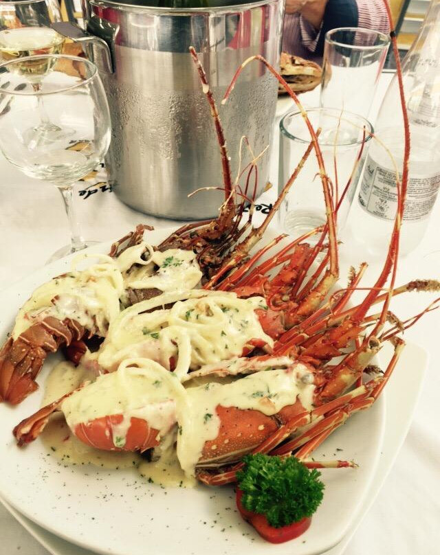 Will's Sabor Del Mar