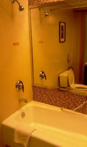 新词大酒店-浴室