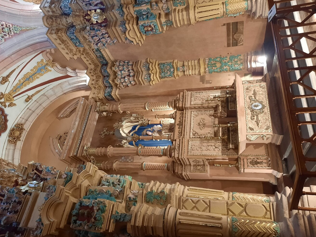 Museo Regional Potosino景点图片