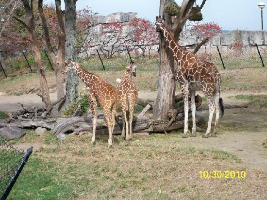 Indianapolis Zoo-印第安纳波利斯必去景点