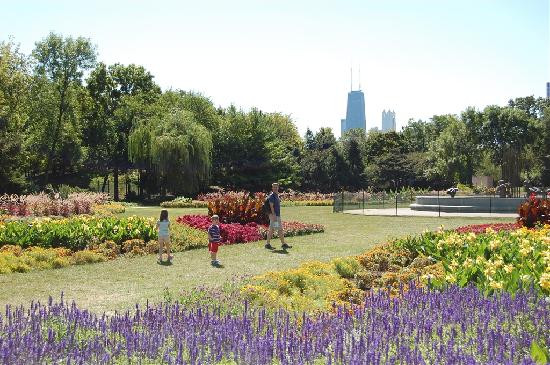林肯公园动物园-芝加哥必去景点