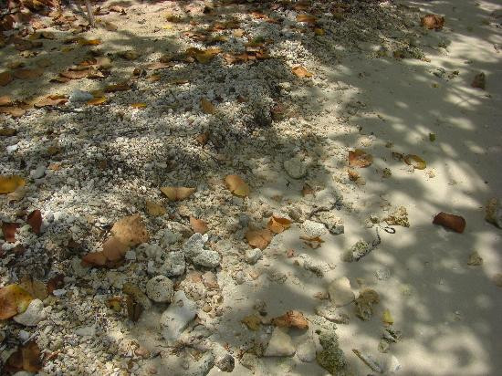 Bloody Bay-内格里尔必去景点