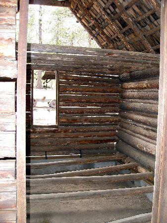 Collier Memorial State Park-Chiloquin必去景点