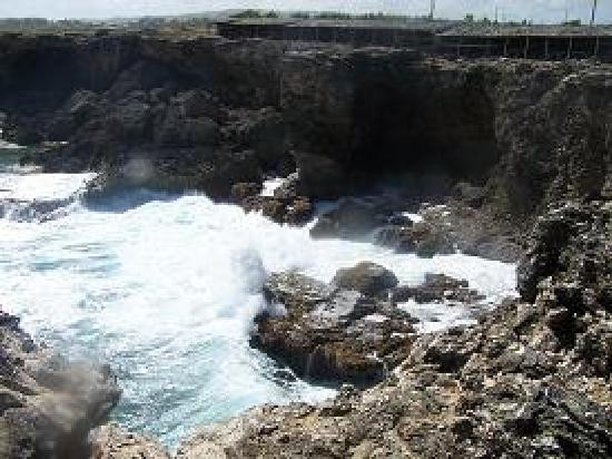 Island Safari Barbados-Saint Michael Parish必去景点