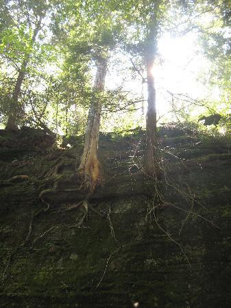 Panama Rocks Scenic Park-Panama必去景点