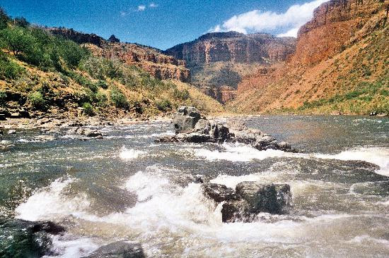 Salt River Rafting-凤凰城必去景点