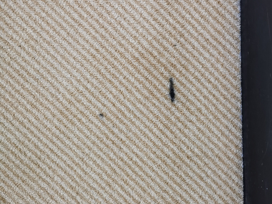 Hotel-Restaurant Zum Zeppelin主图