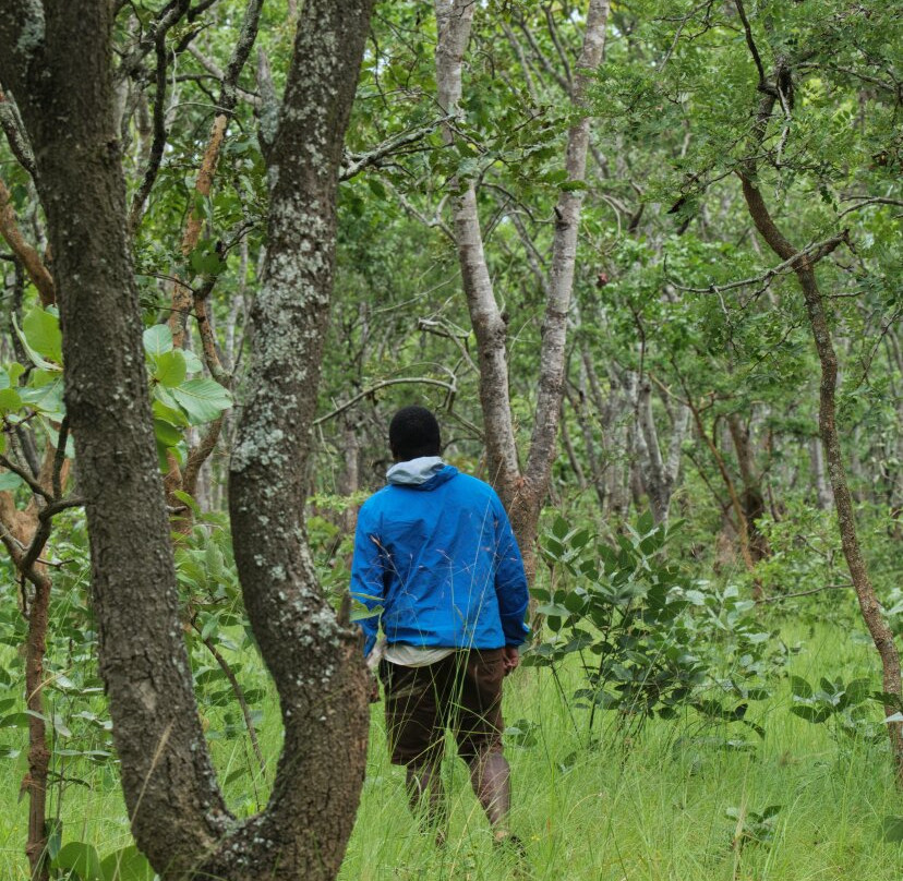 Liz B birding Safari-Iringa必去景点