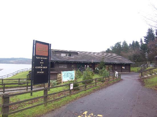 Kielder Forest-Kielder必去景点