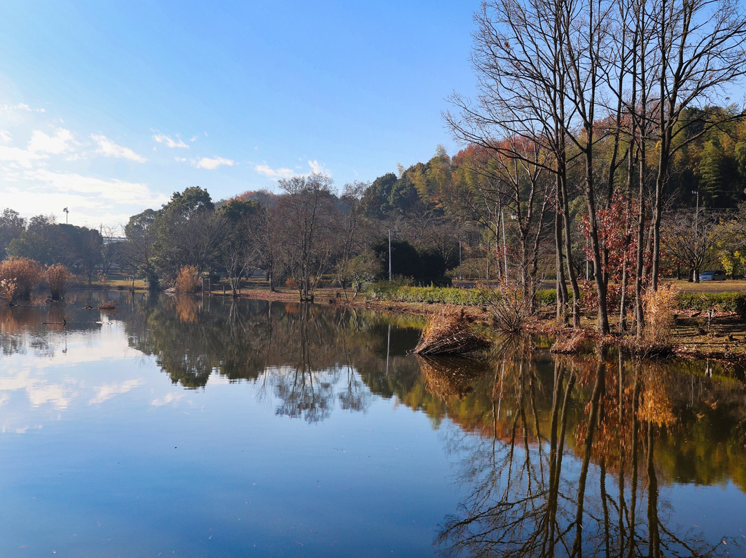 Kinu Park-常总市必去景点