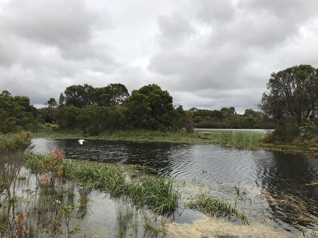 Lake McIntyre-Millicent必去景点