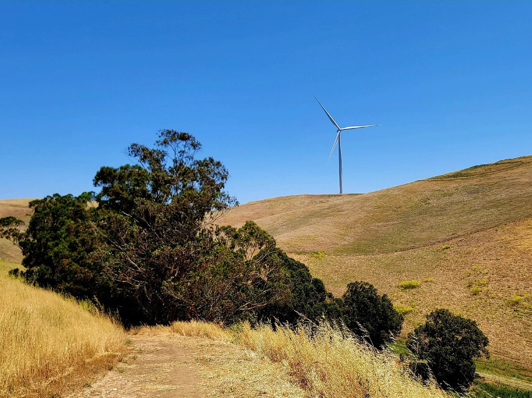 Brushy Peak Regional Preserve-利佛摩必去景点