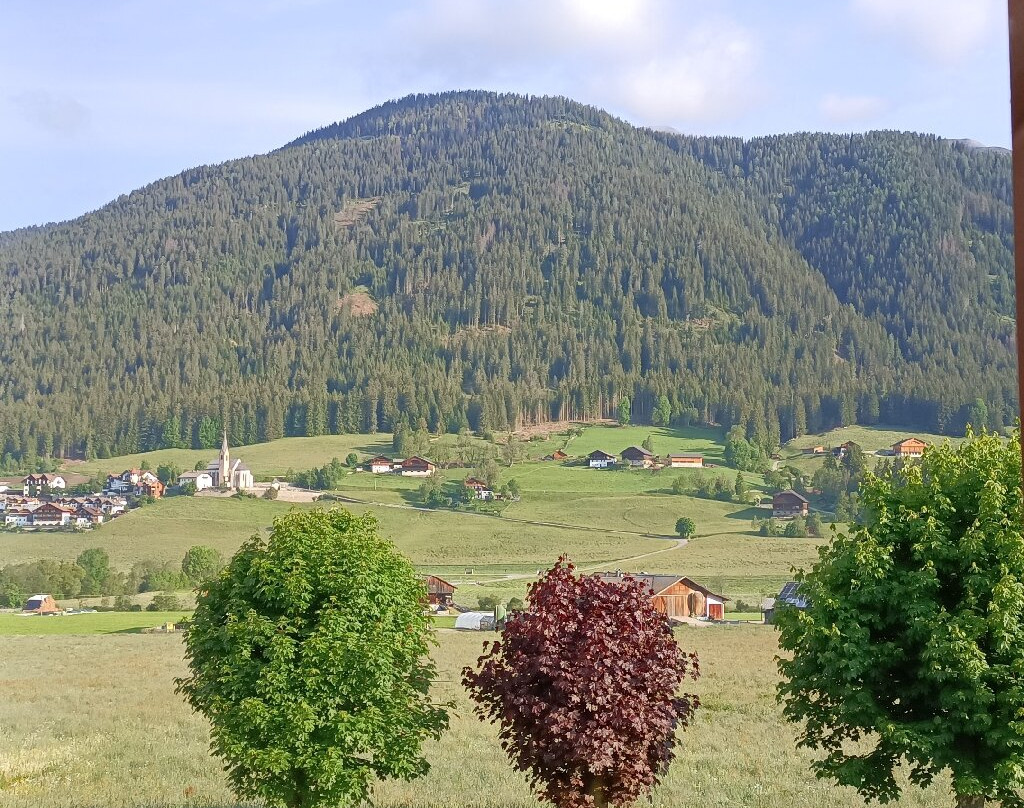 Hotel Waldheim主图