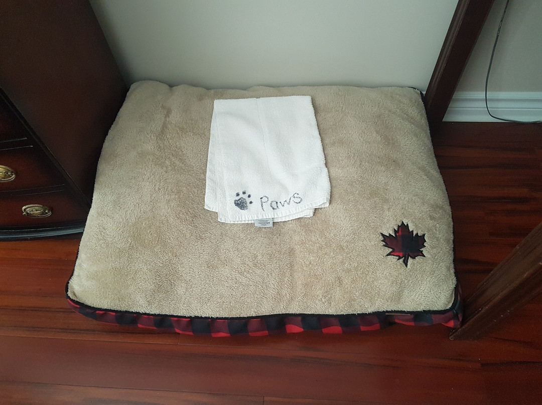 Green Acres Inn主图