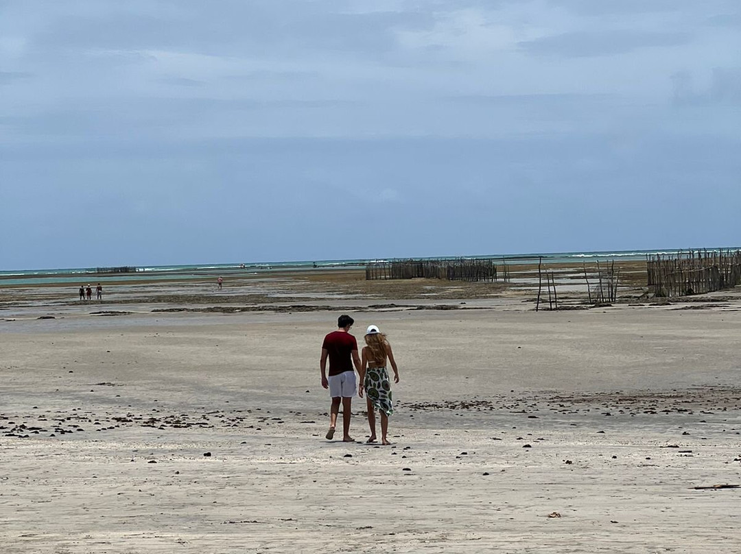 Pousada o Casarao主图