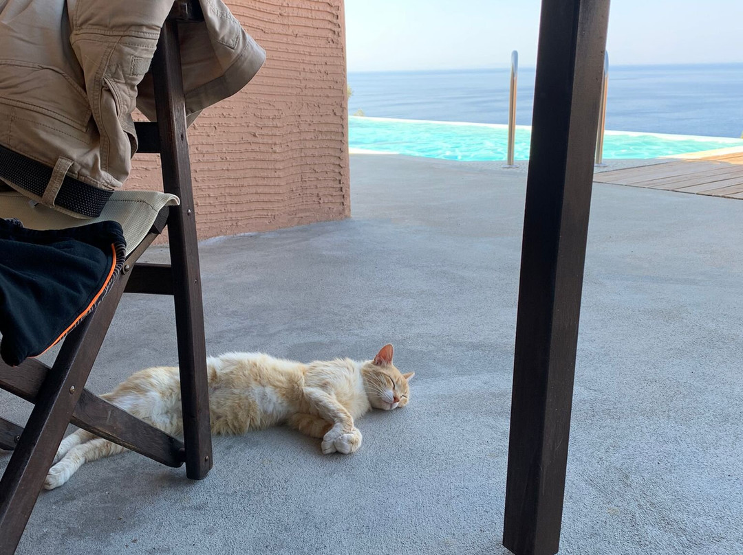 Mandilada Villas主图