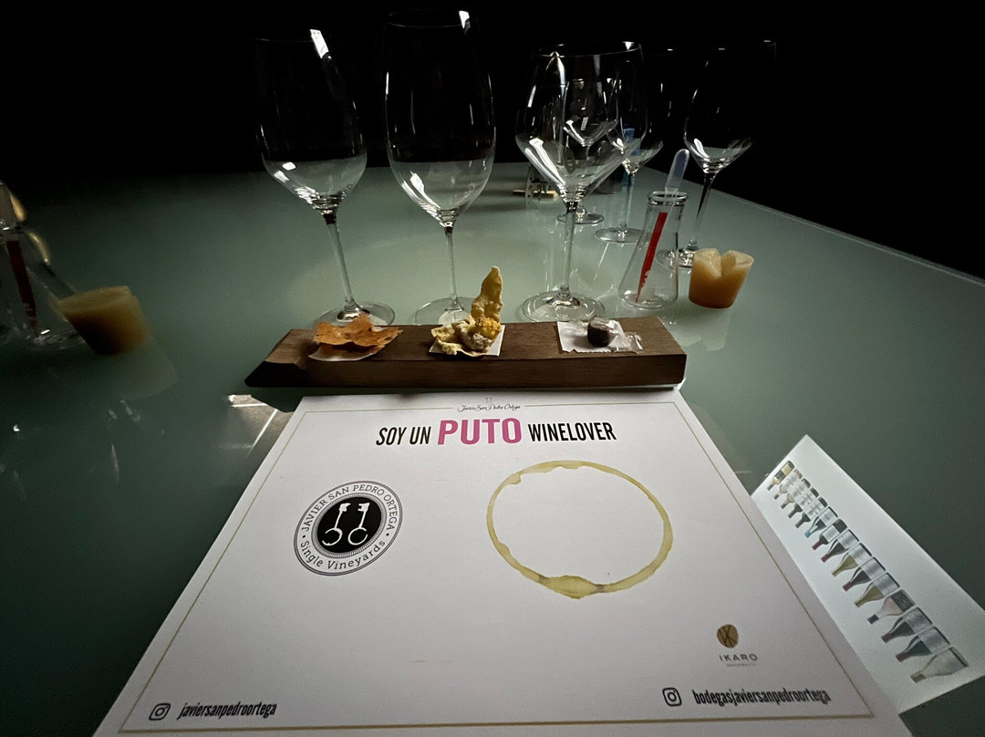 Bodegas Javier San Pedro Ortega-拉瓜迪亚必去景点