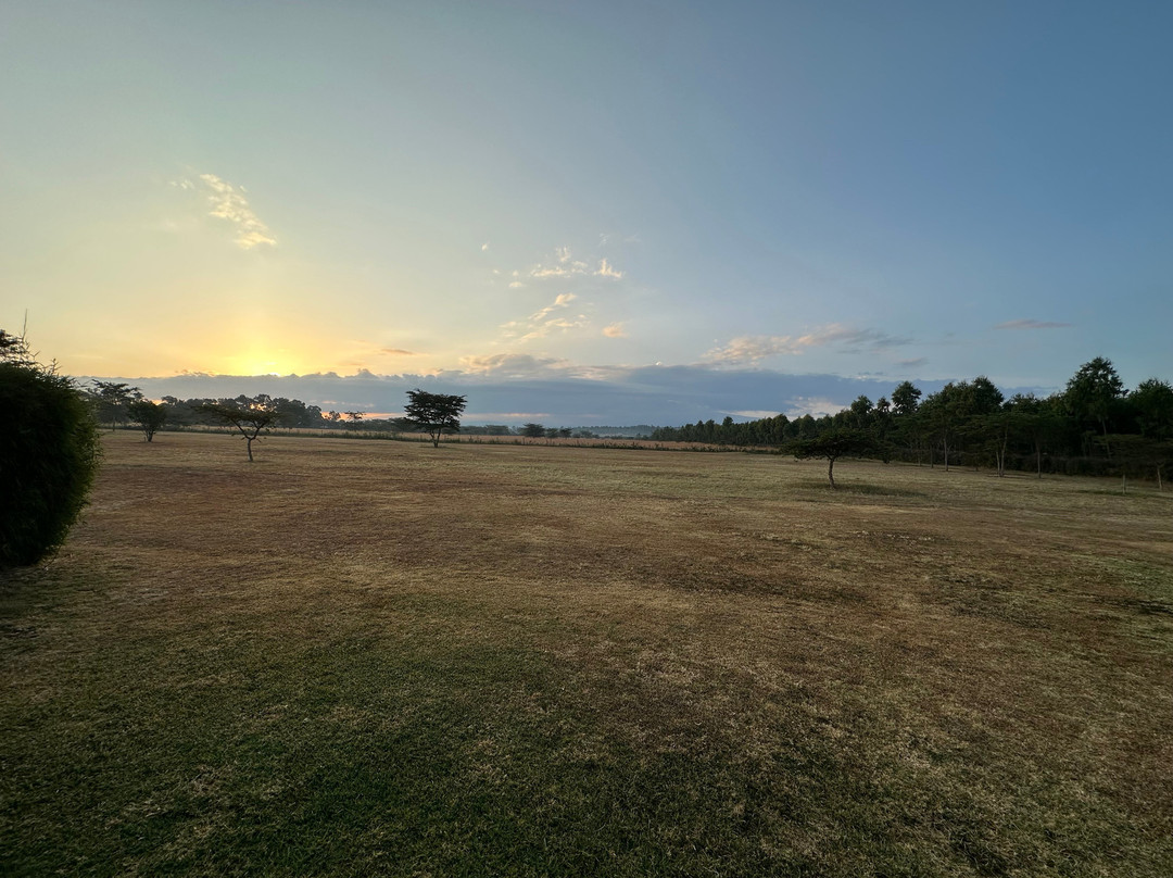 Soames Hotel & Jack's Bar主图