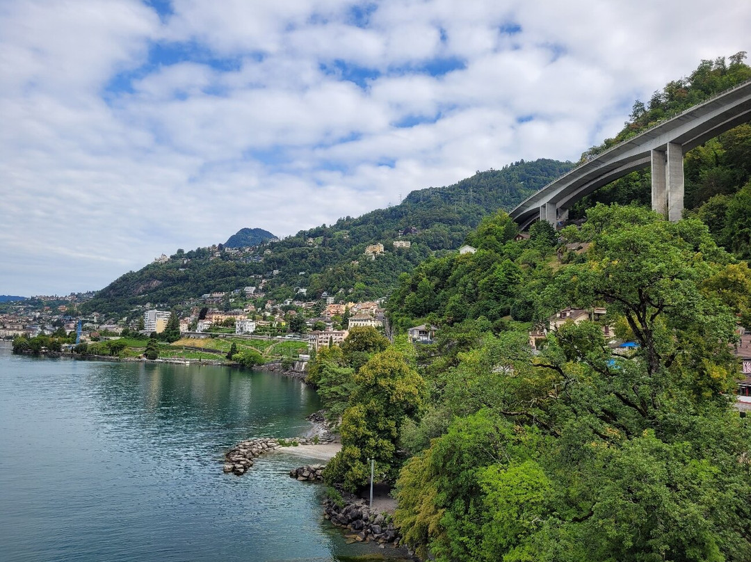 Lake Geneva Marine (Genfersee Schifffahrt)-蒙特勒必去景点