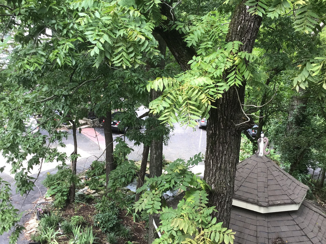 Angel at Rose Hall Bed and Breakfast主图