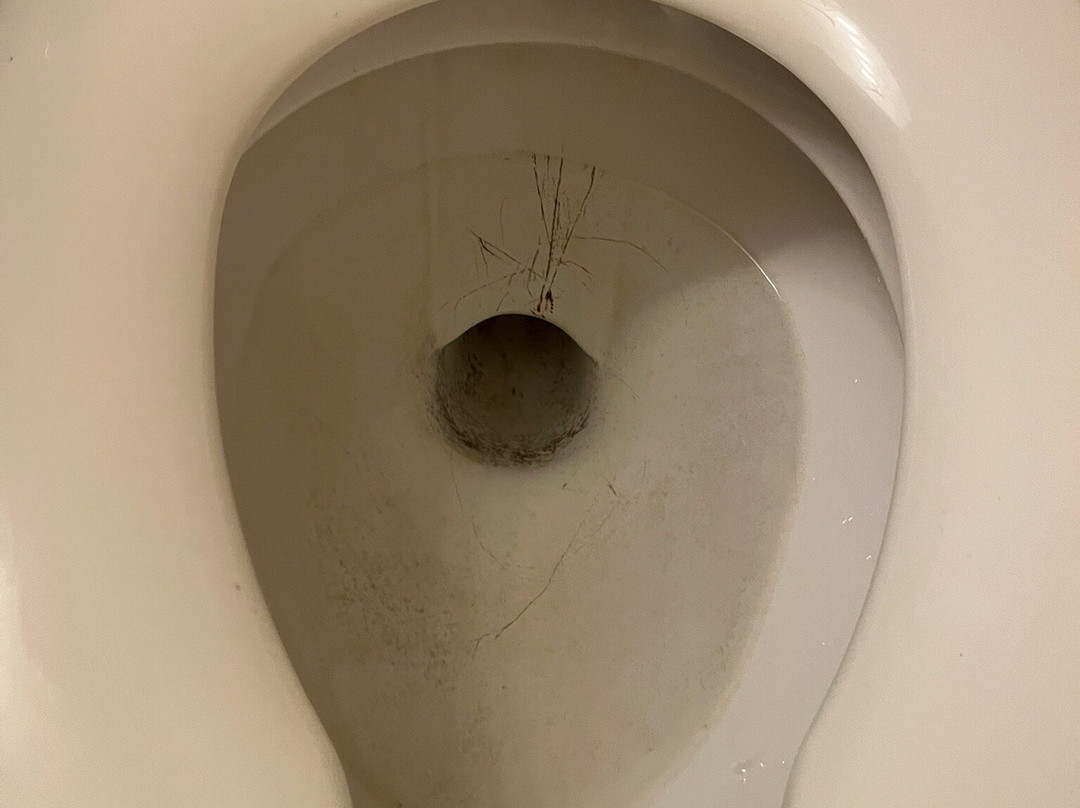 Brentwood Motor Inn主图