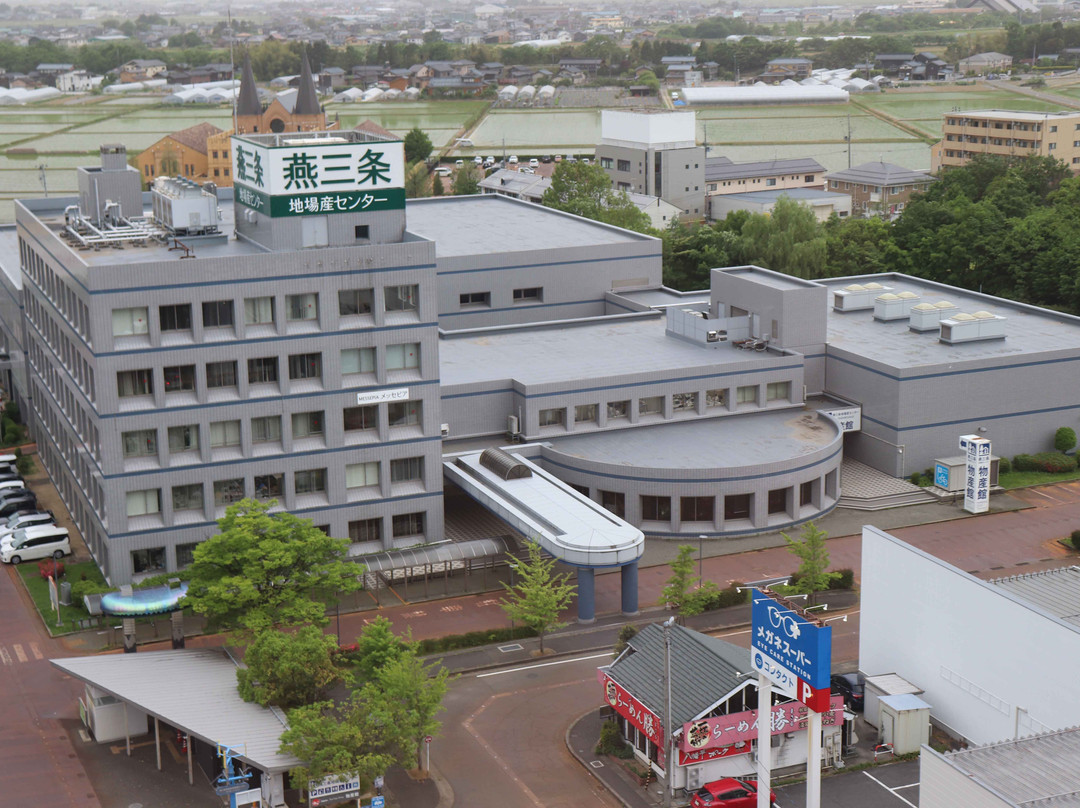 Michi-no-Eki Tsubame 3jo Jibasan Center景点图片