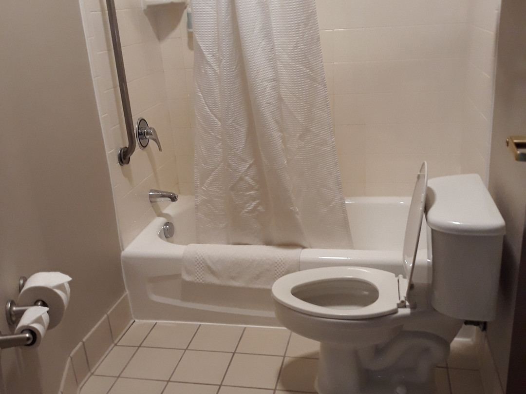 SpringHill Suites by Marriott Frankenmuth主图