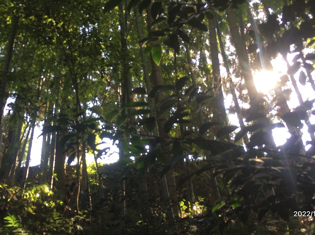 Shinryu Hachidaio Shrine-菊池市必去景点