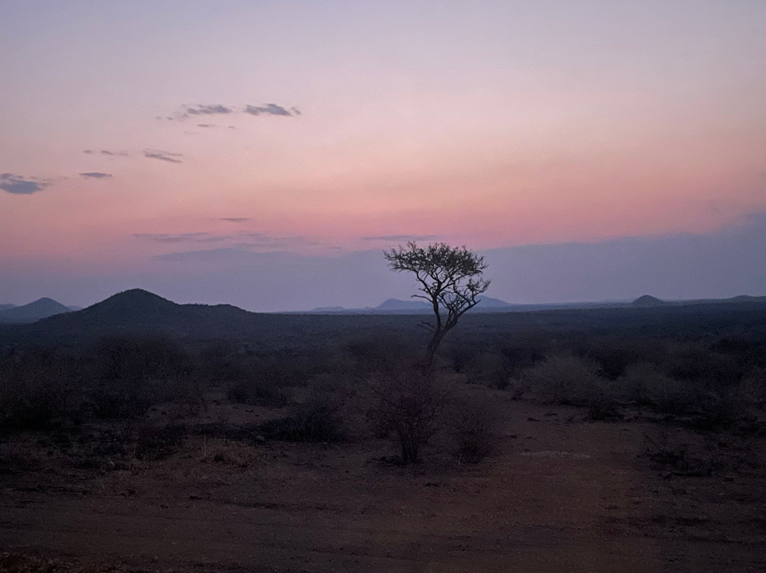 Safari Gästefarm Düsternbrook景点图片