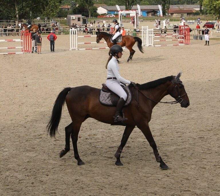 Haras National de Cluny景点图片