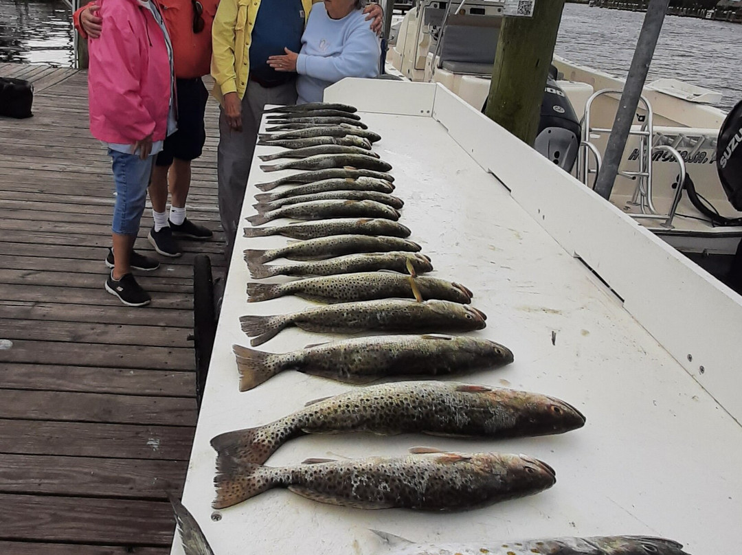 Saltface Charters-Homosassa Springs必去景点