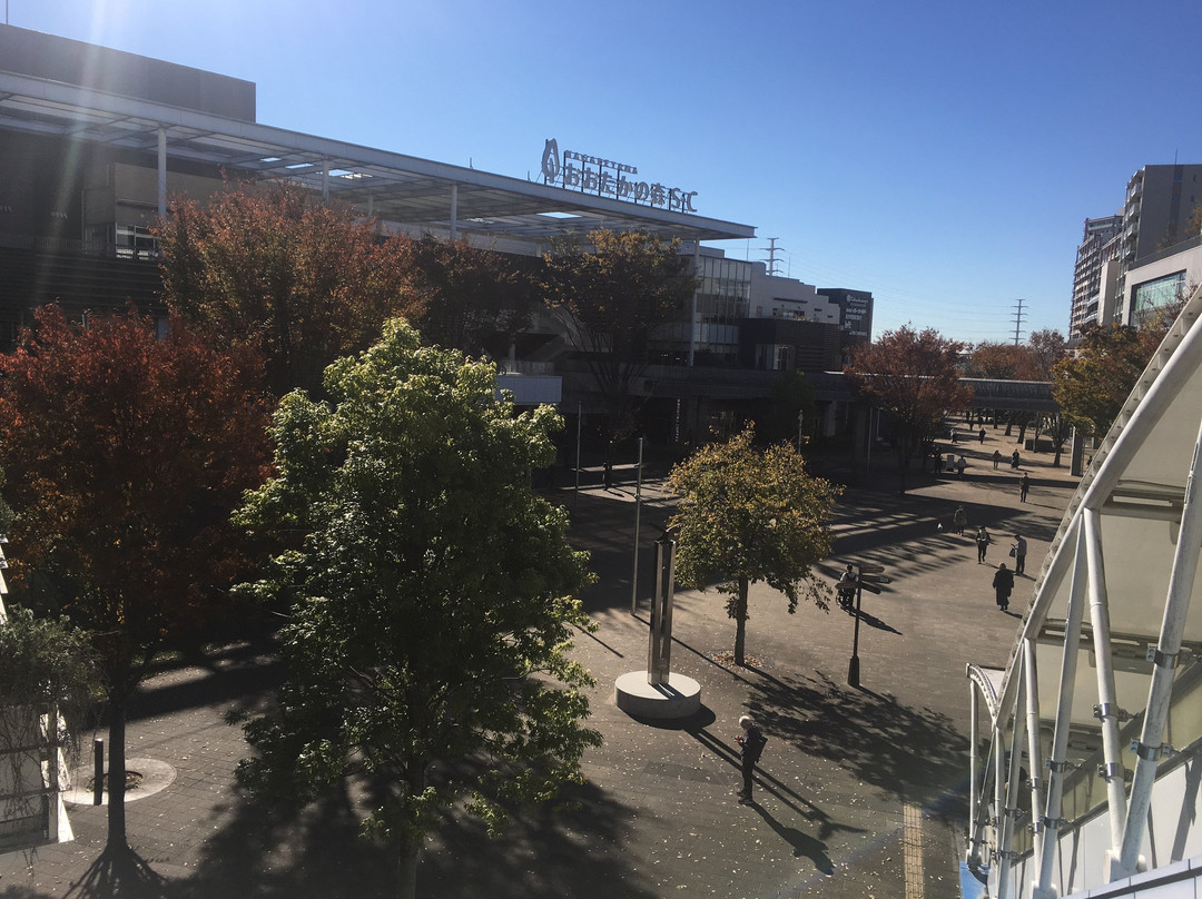 Nagareyama Otakanomori S･C-流山市必去景点