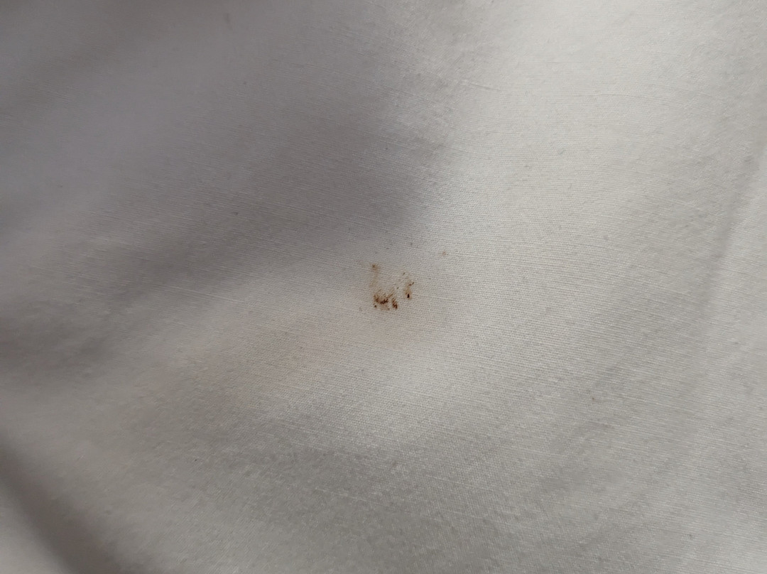 Country Inn & Suites by Radisson, Mishawaka, IN主图