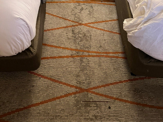 DoubleTree by Hilton Denver Central Park主图