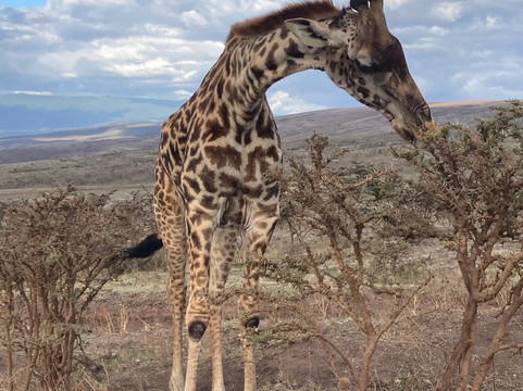 Materuni Tours-莫西必去景点