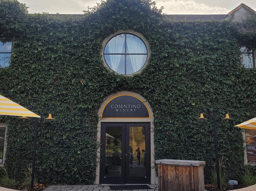 Cosentino Winery景点图片