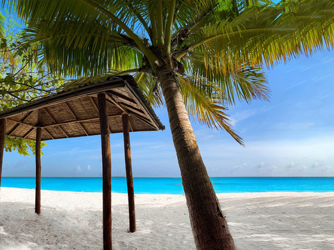 马尔代夫瓦沙法鲁蓝珊瑚酒店主图