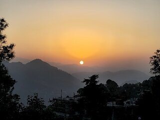 The Pinewood (HPTDC)主图