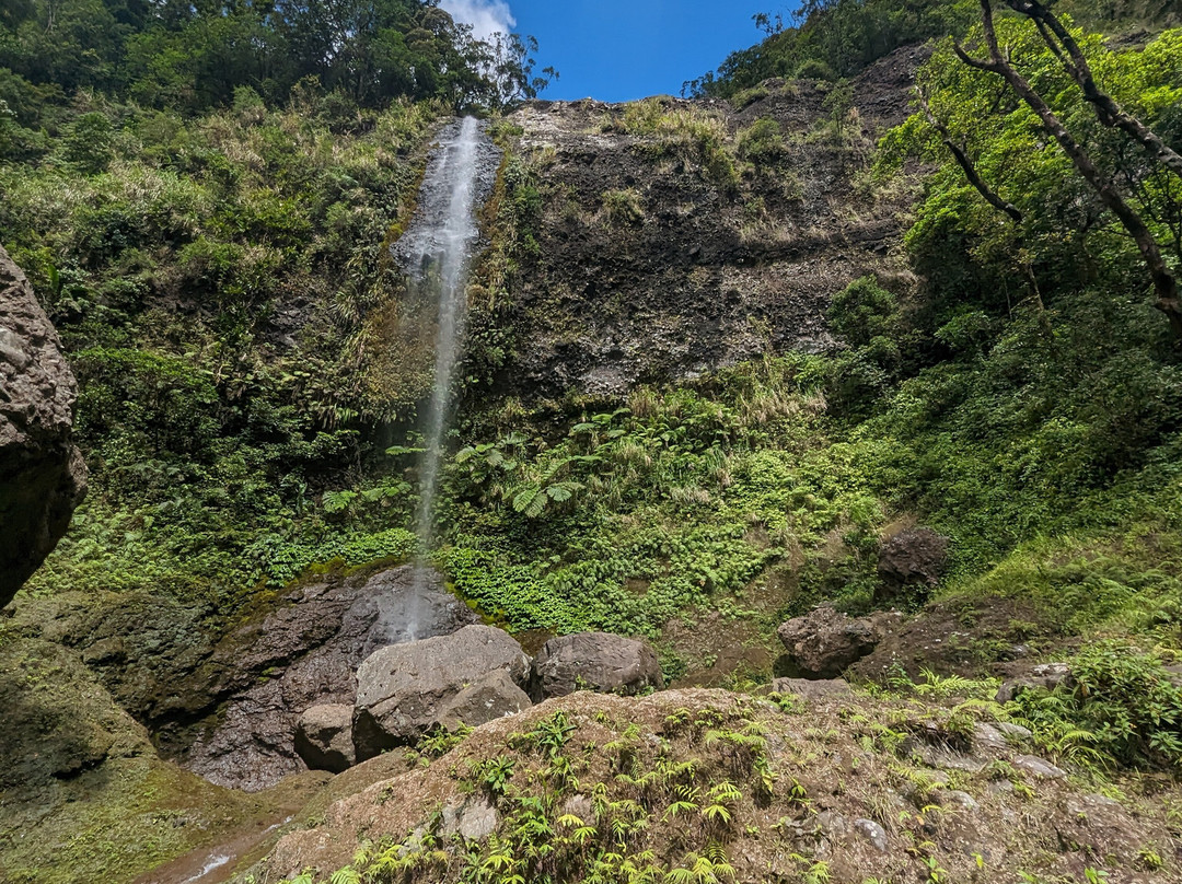 Koroyanitu National Heritage Park景点图片