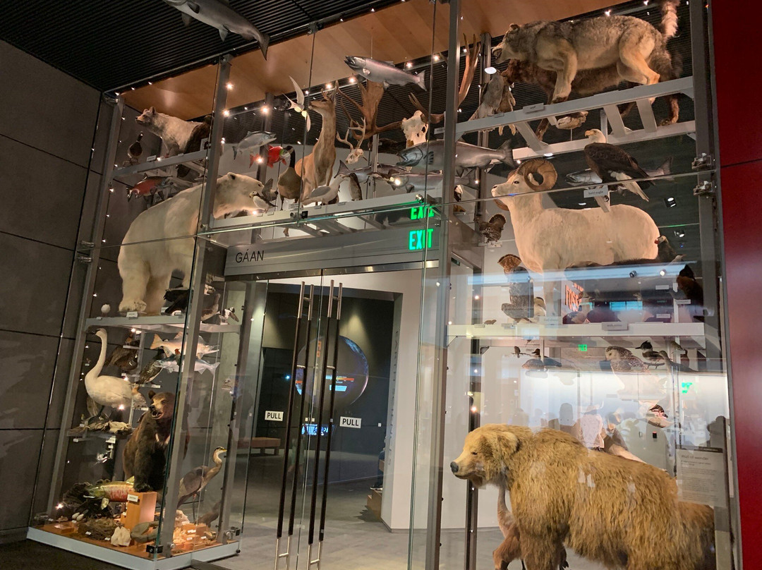 Alaska State Museum景点图片