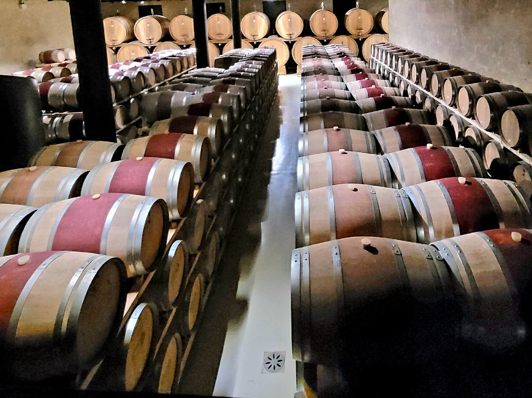 Zyme Winery景点图片