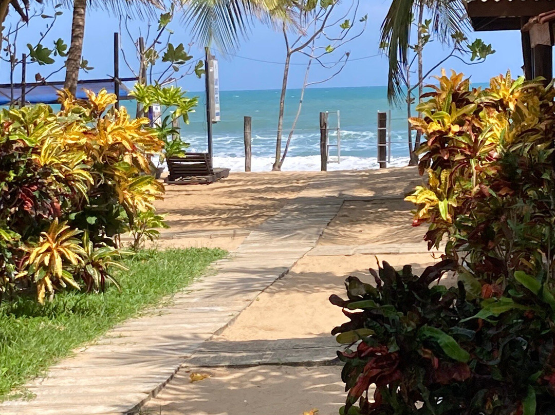 Visit Holiday Lanka Tours景点图片